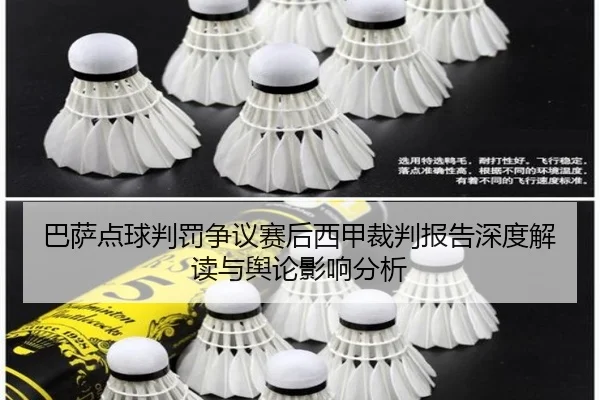 巴萨点球判罚争议赛后西甲裁判报告深度解读与舆论影响分析